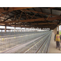 Conception de maison de poulet pour la cage de poulet (5000, 10000, 15000, 20000 couches)
